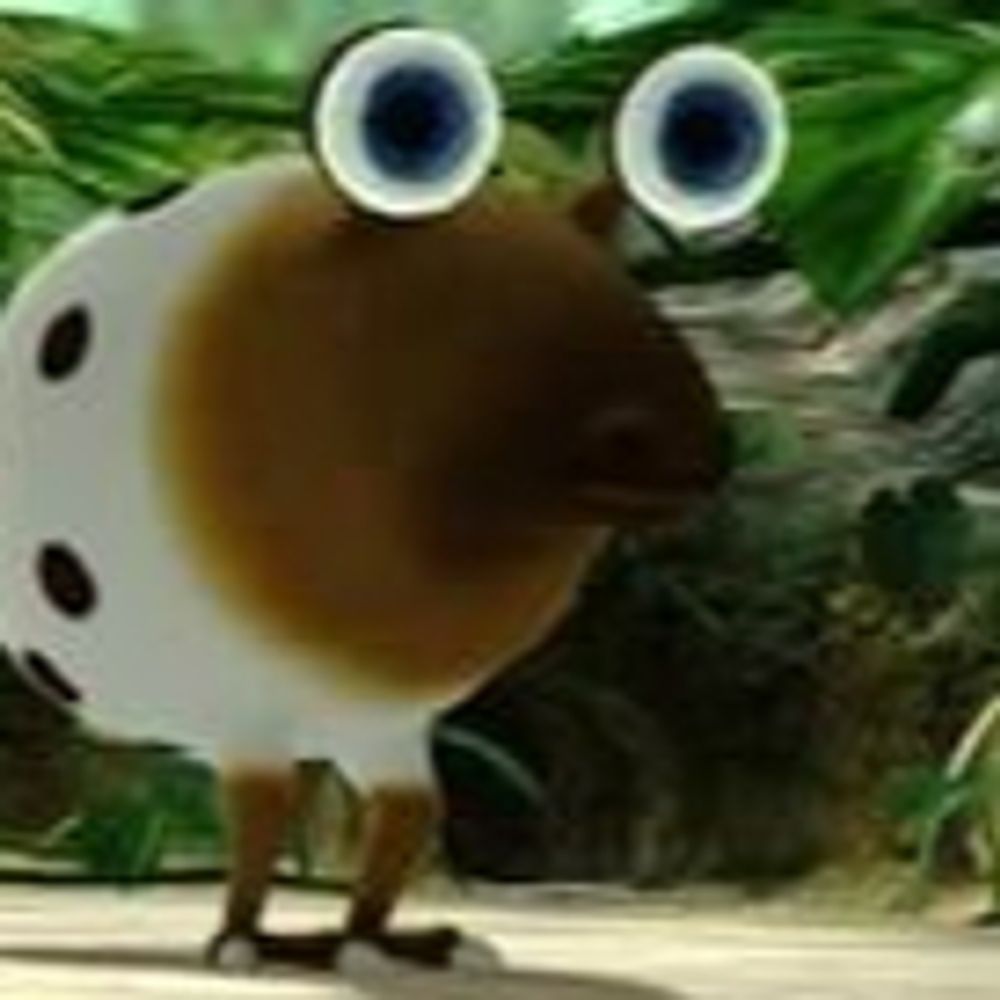 borb