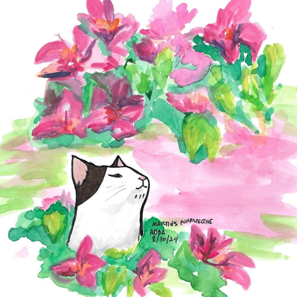 The Mulat Cat of Bulatlat