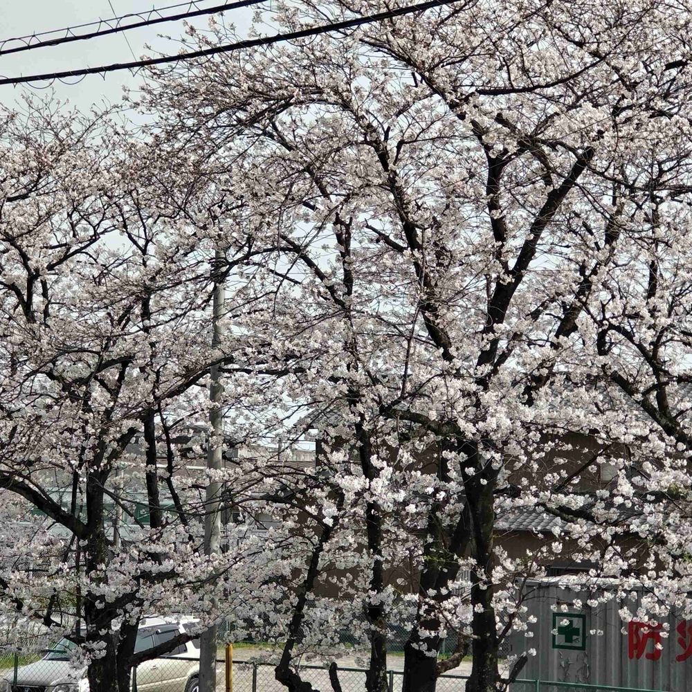 中原幸太郎