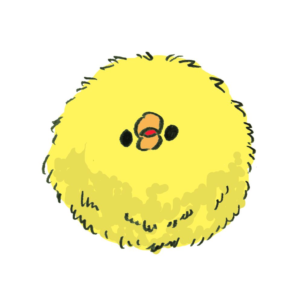 しづき