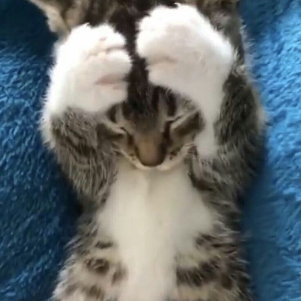 lala!!