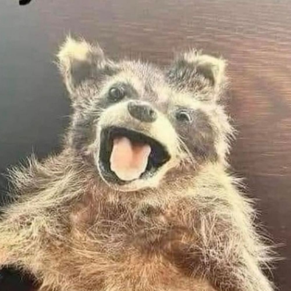 Danelek
