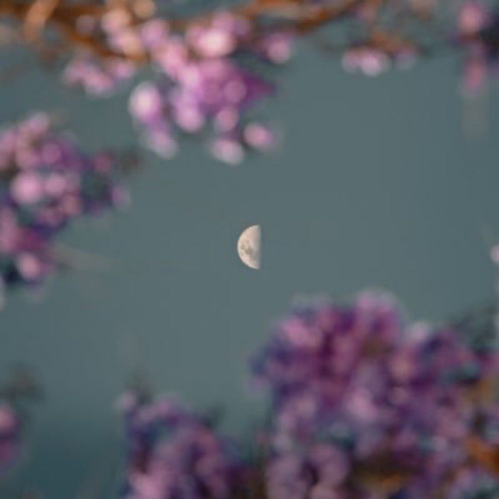 Ceymoon 🥂🌙