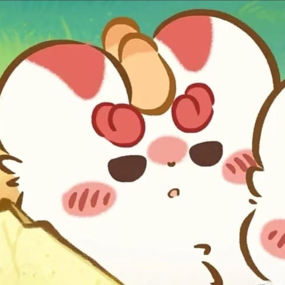 十一Tyc