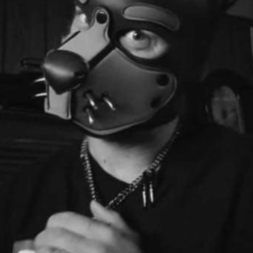 Pup Motley