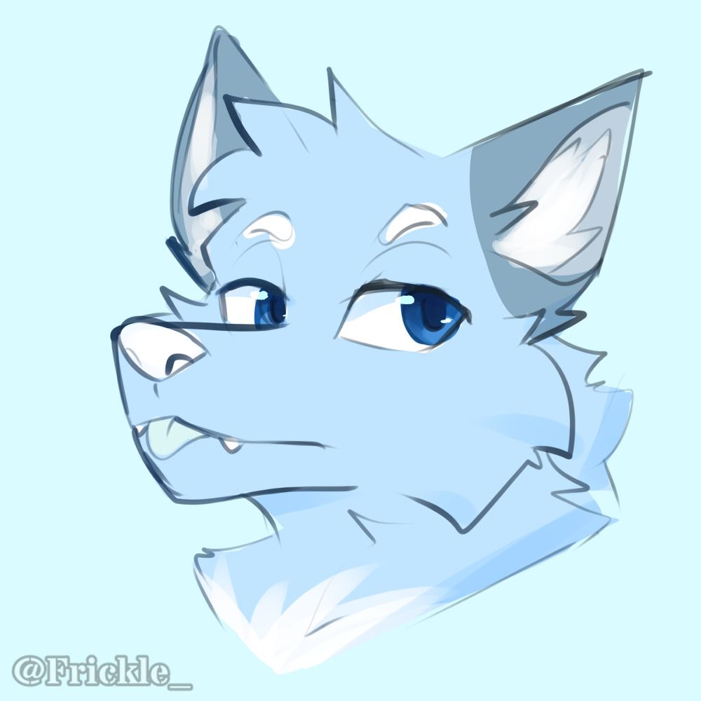 Frost 🐺