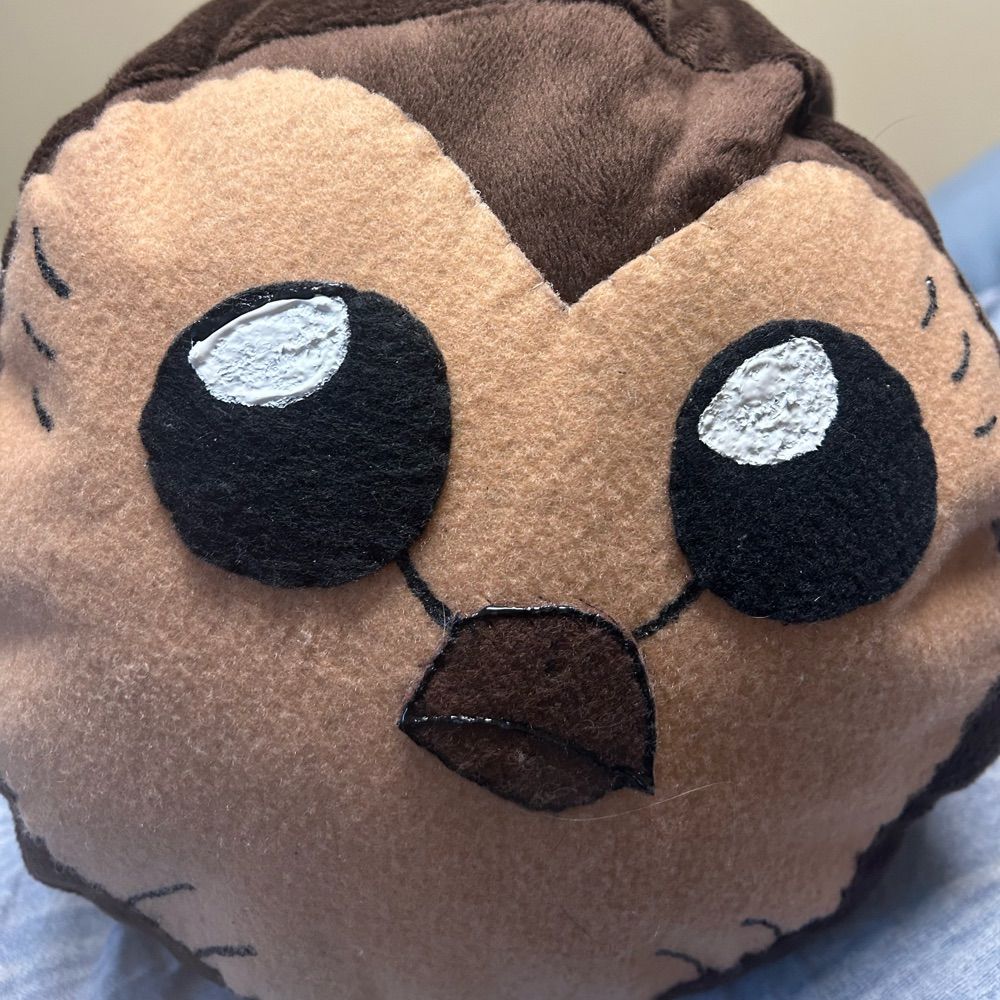 MemoryOverload 🦉🐸⚔️ (he/him/his)