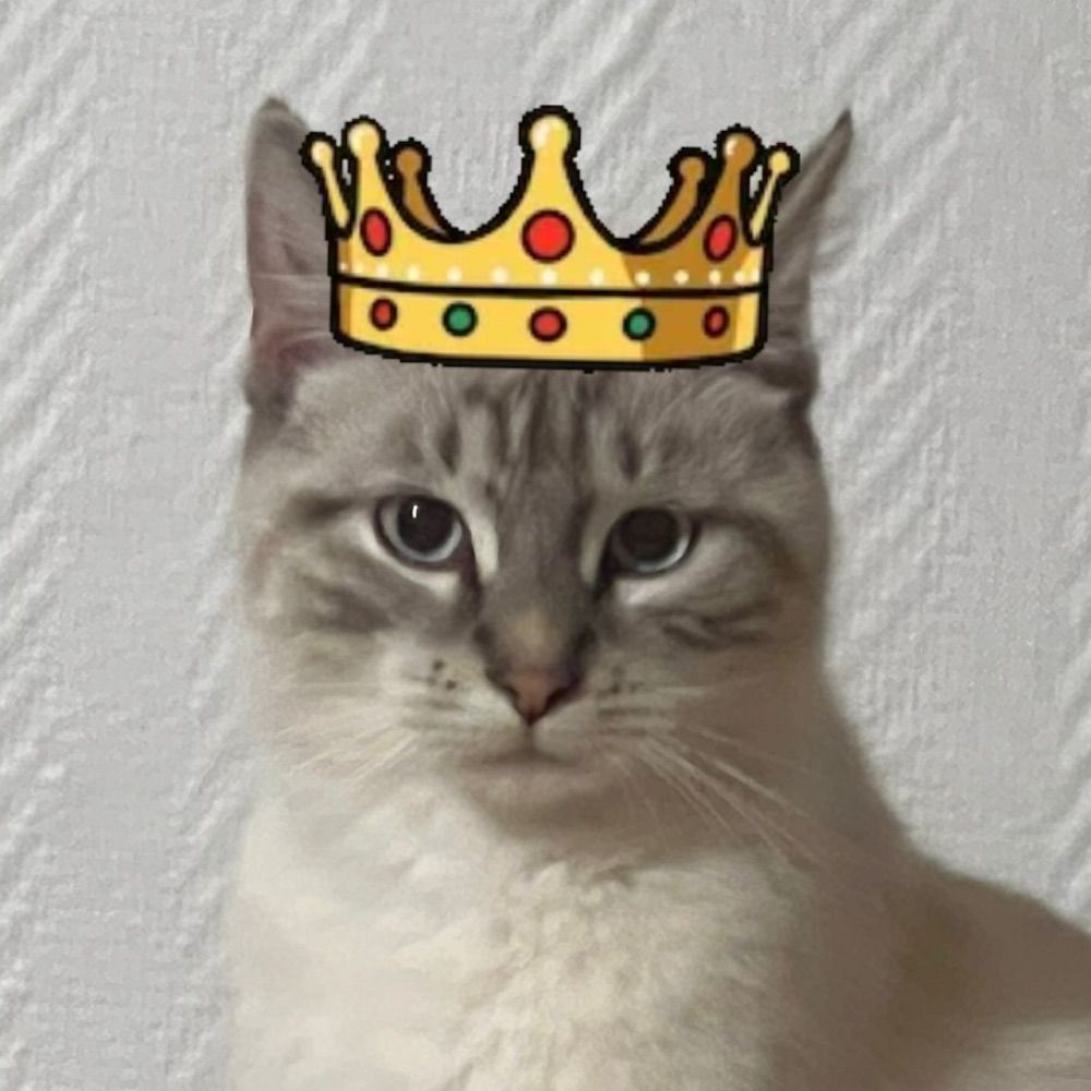 Amir 🐈