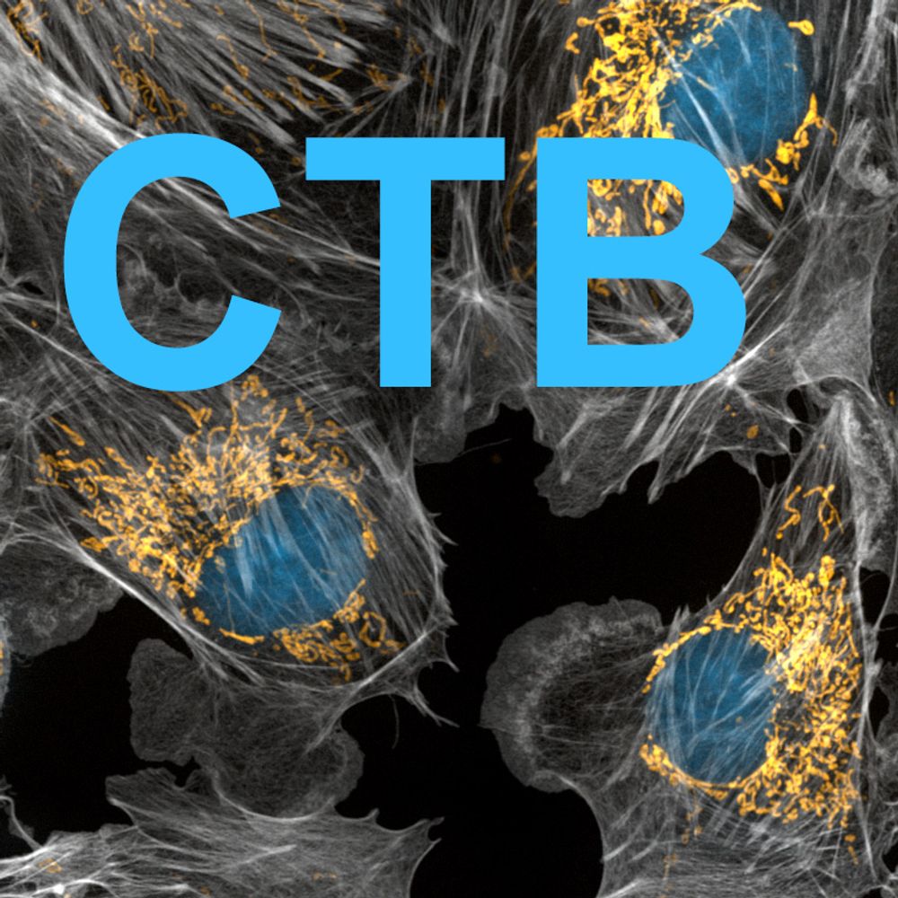 Department of Cell and Tissue Biology at UCSF