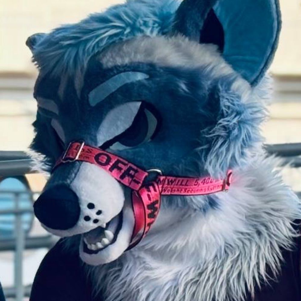 Kyro Raccoon