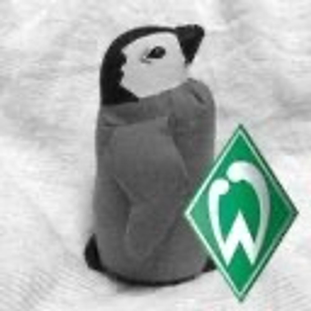 てこぺん