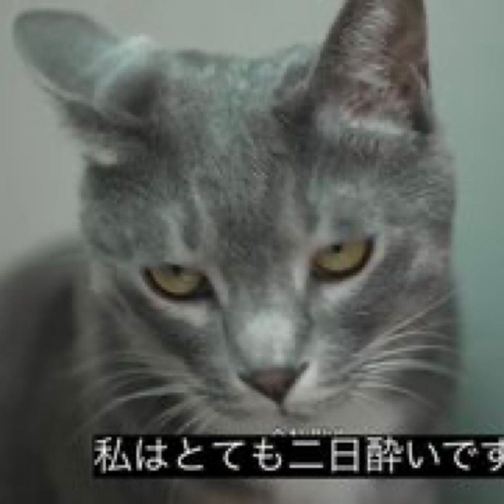 ころね氏