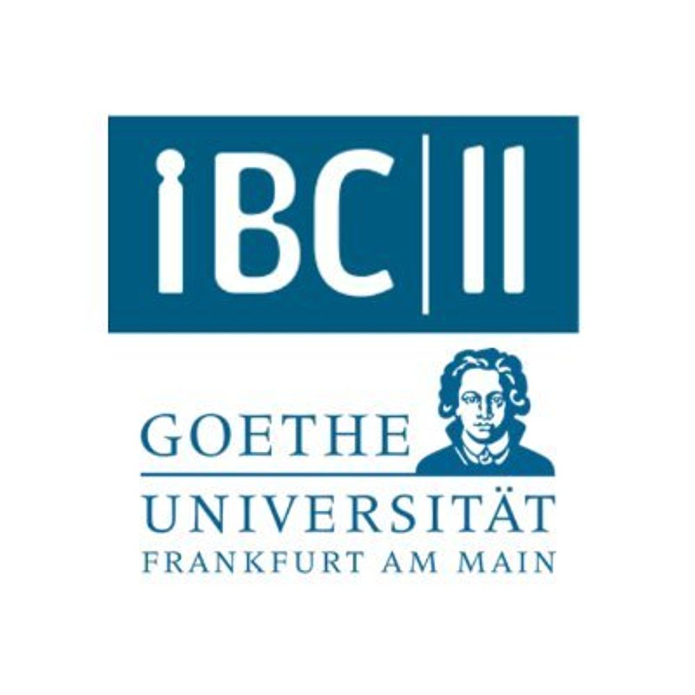 IBC2