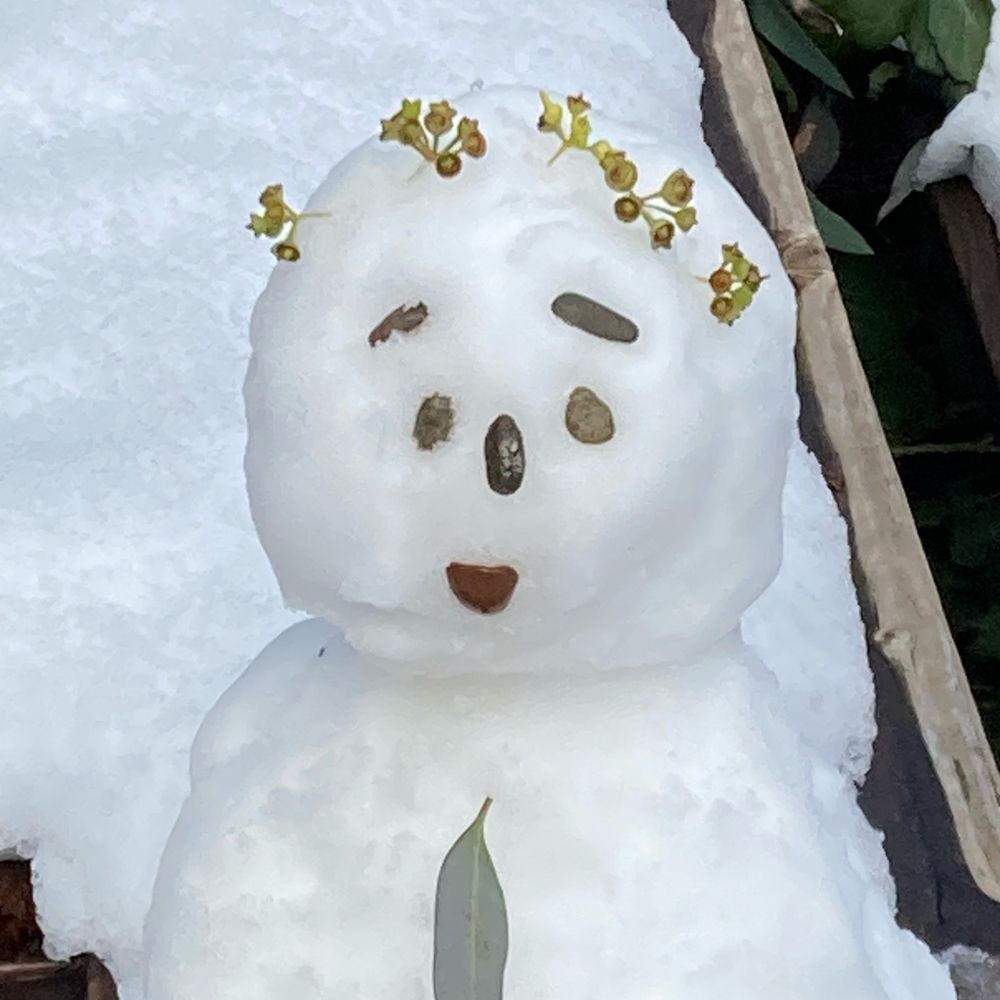 とむはち