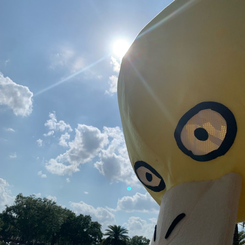 ˗ˏˋ Ducky Omega Ω ˎˊ˗