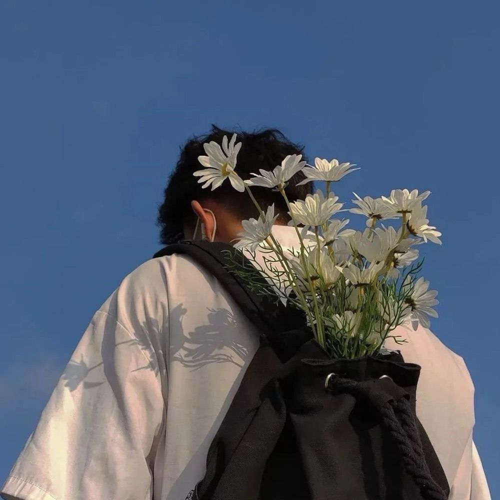 一只安仔