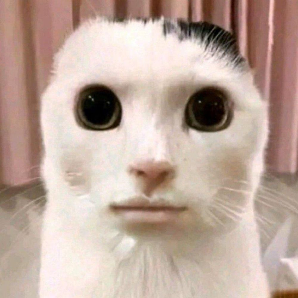 저똥팬은장발남의맛을음미하고있어요