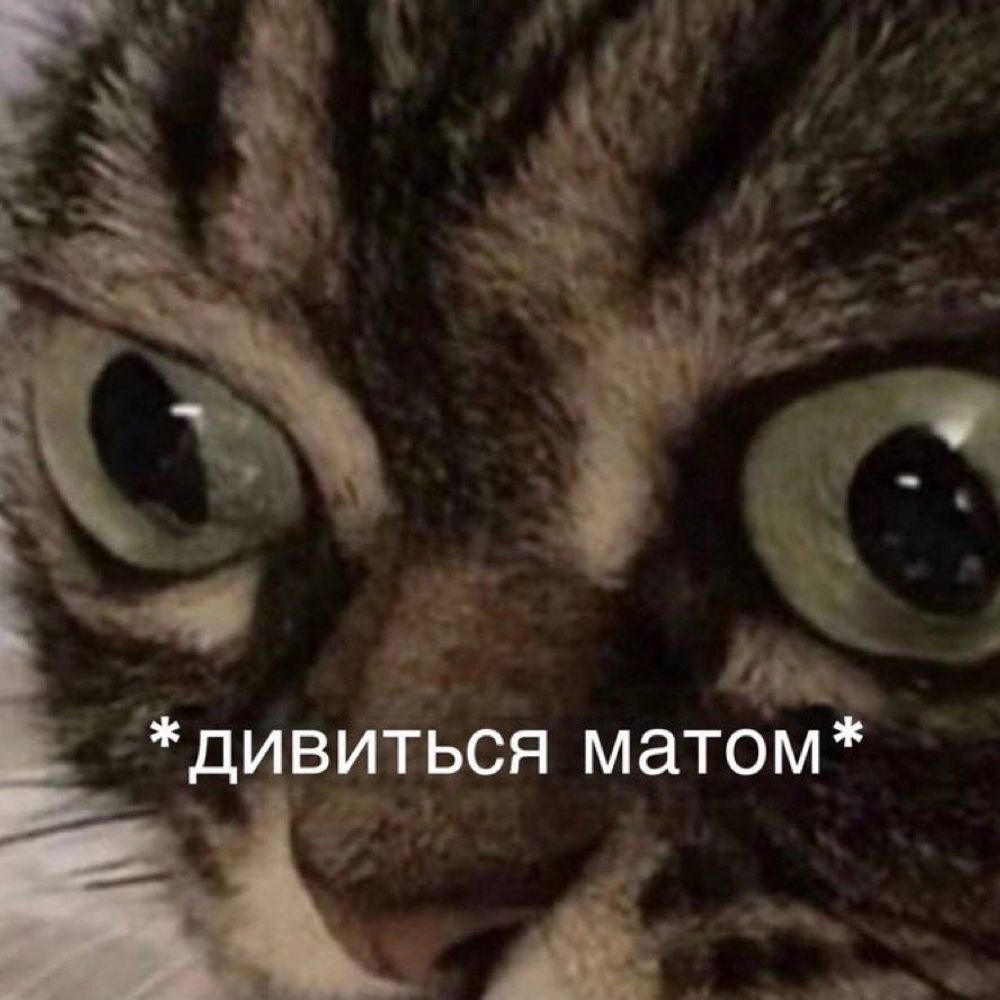 Iron Maiden under stress