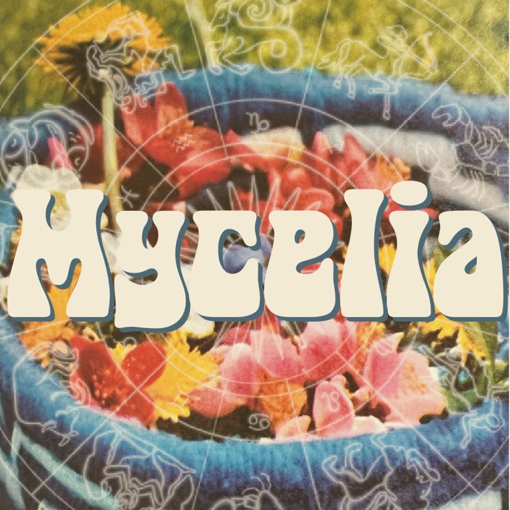 Mycelia Zine