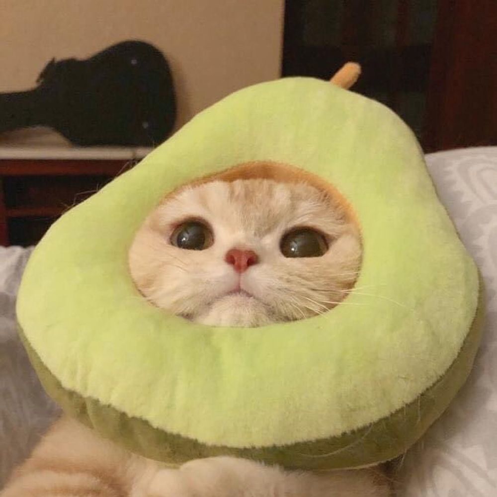 초록