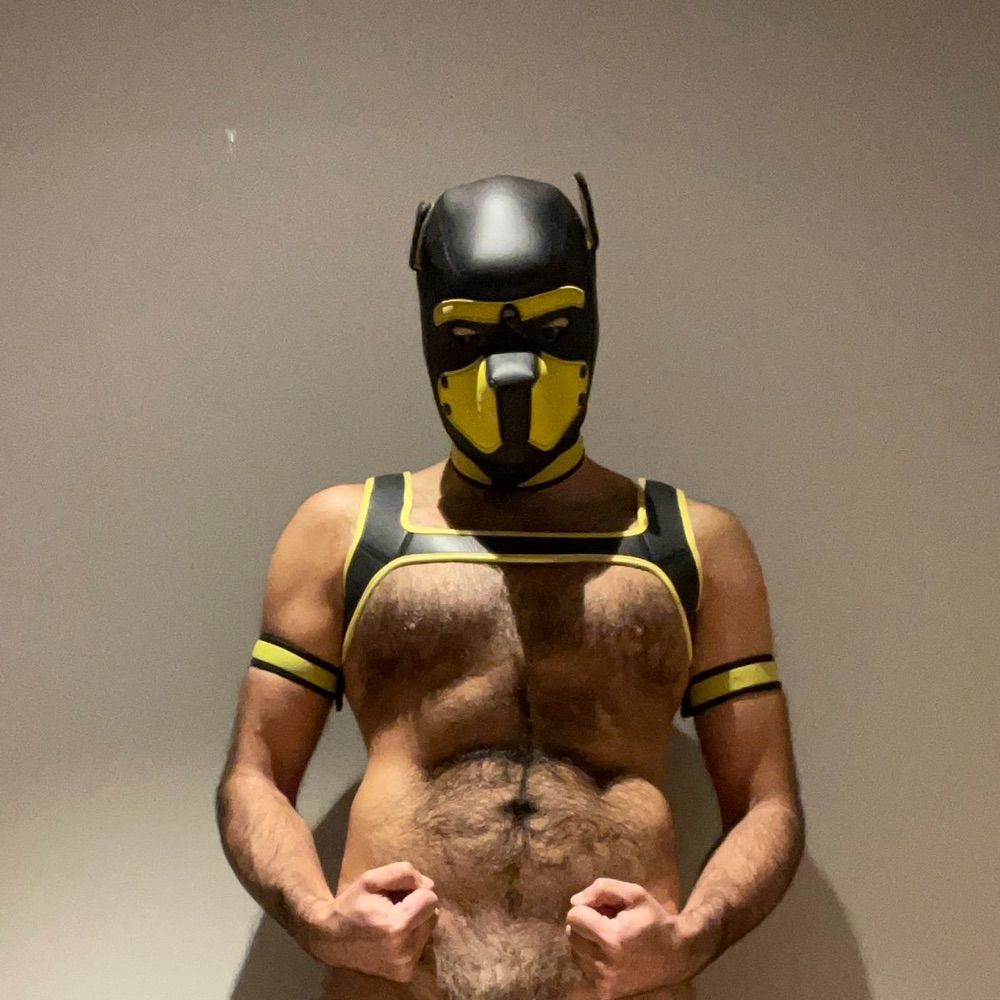 LockyPup