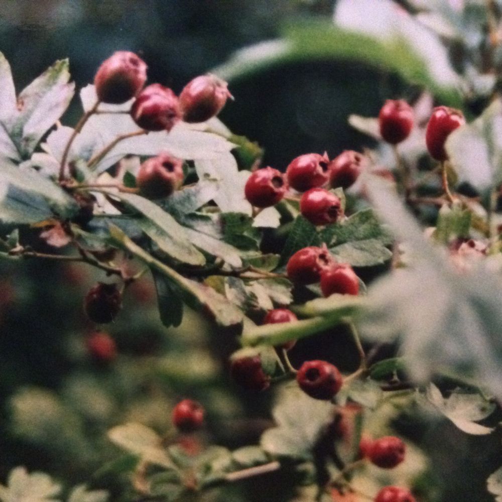 Deborah Tomkins