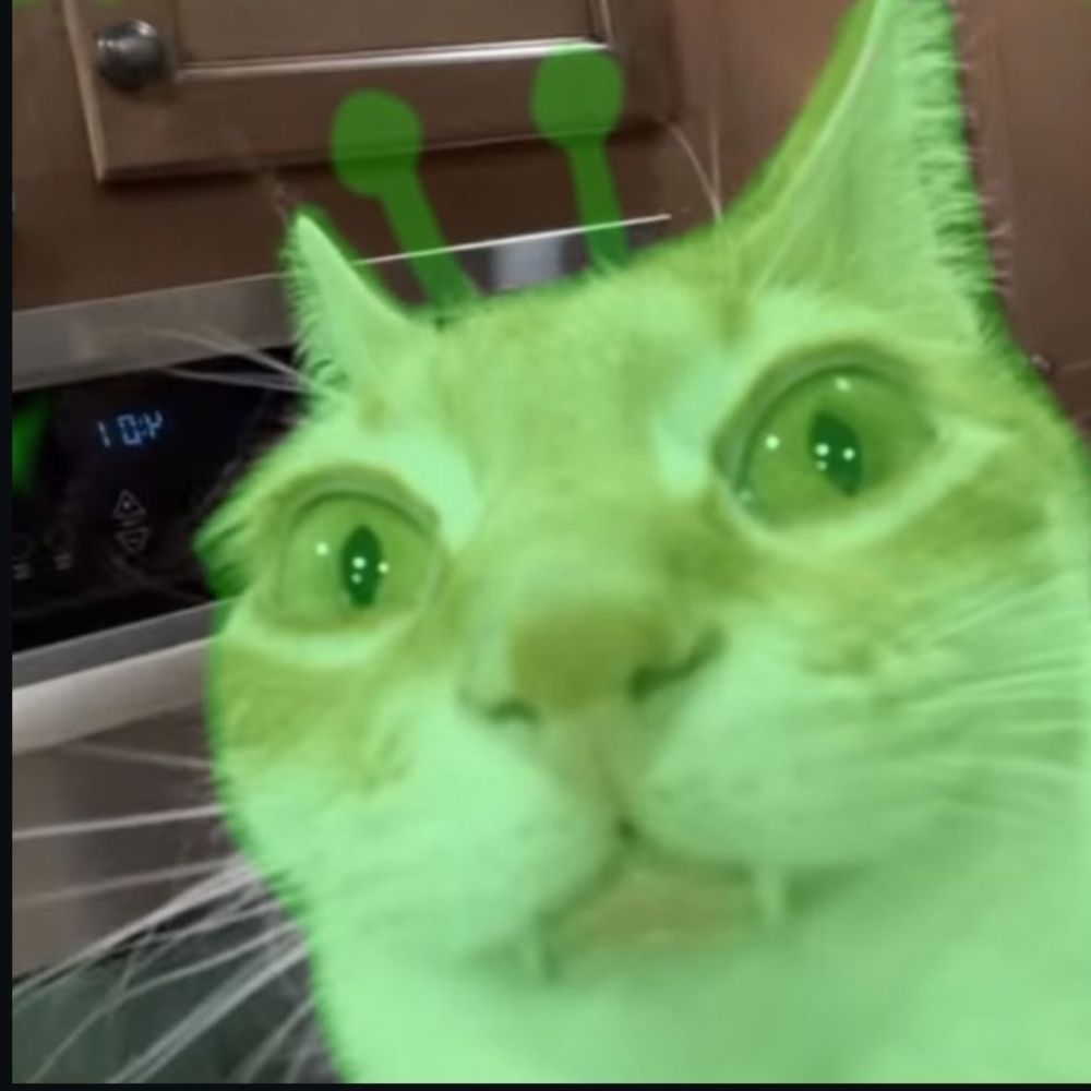 𝓥𝓲𝓬𝓮𝓷𝓽𝓮