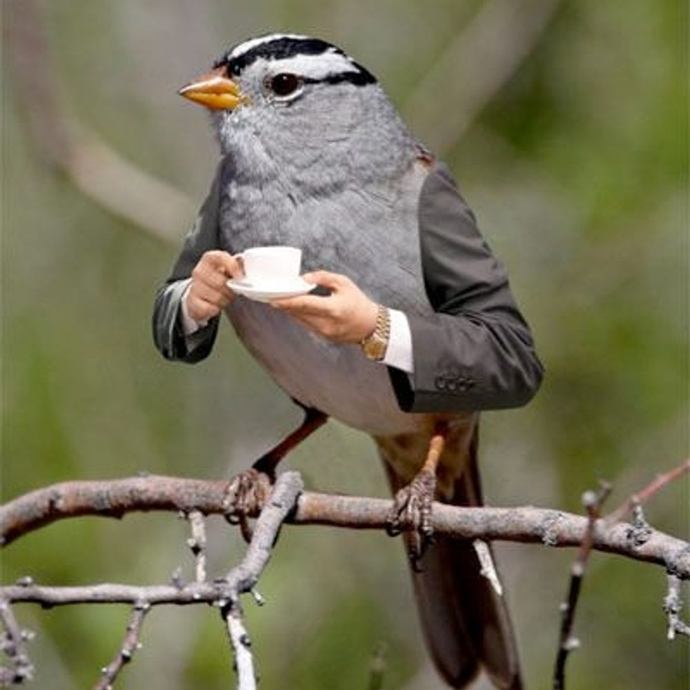 Wonko