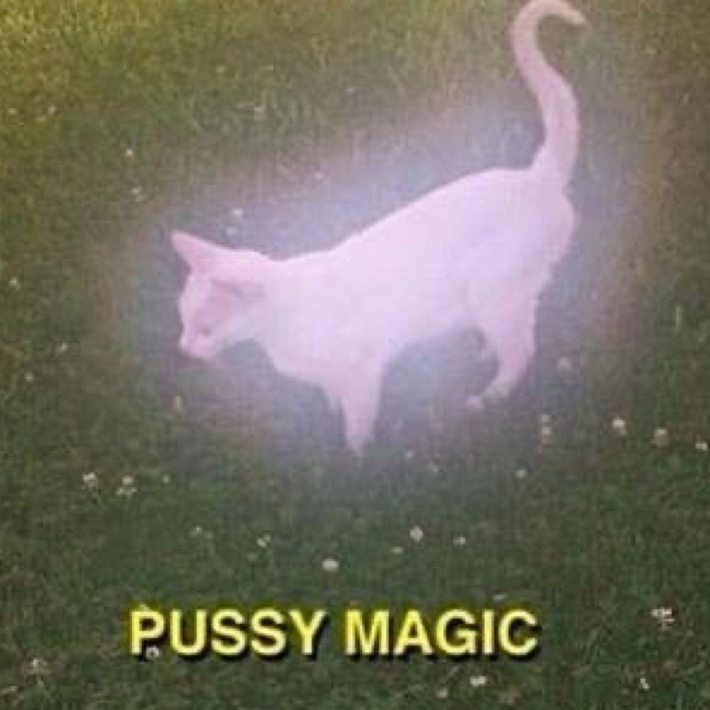 mmcoonn