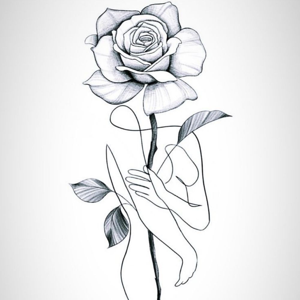 Nox 🌹