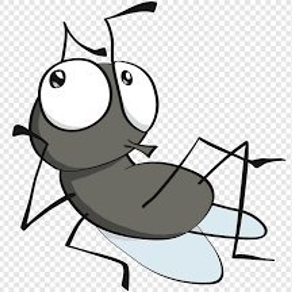 Flyonthewall