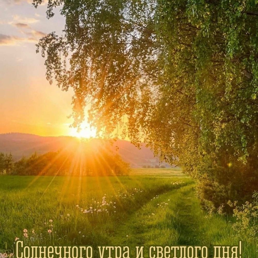 Зла Росомаха