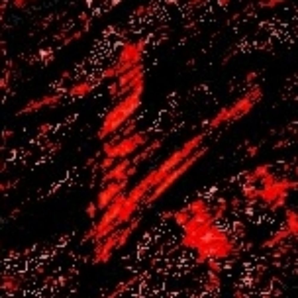 VoidSKY