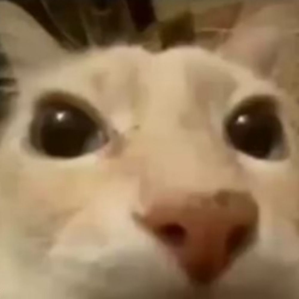 ́