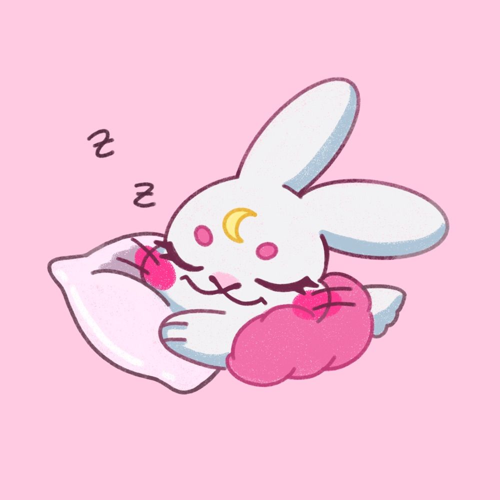 🐰MOMMEMUU🌸