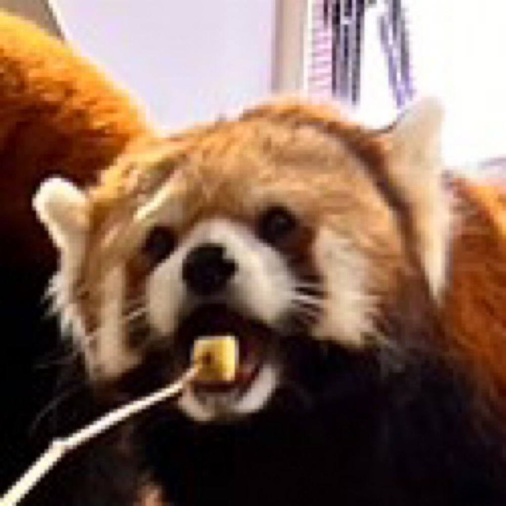 ふかひれ