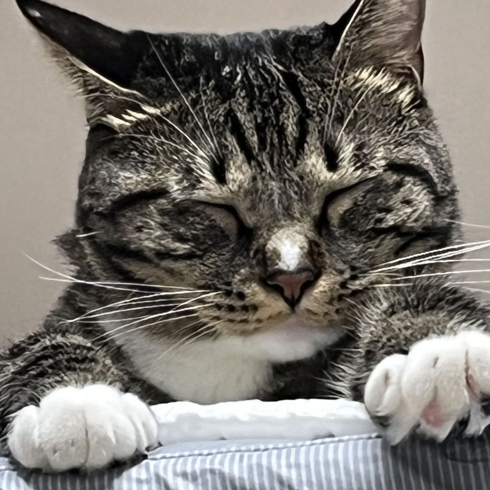 따아