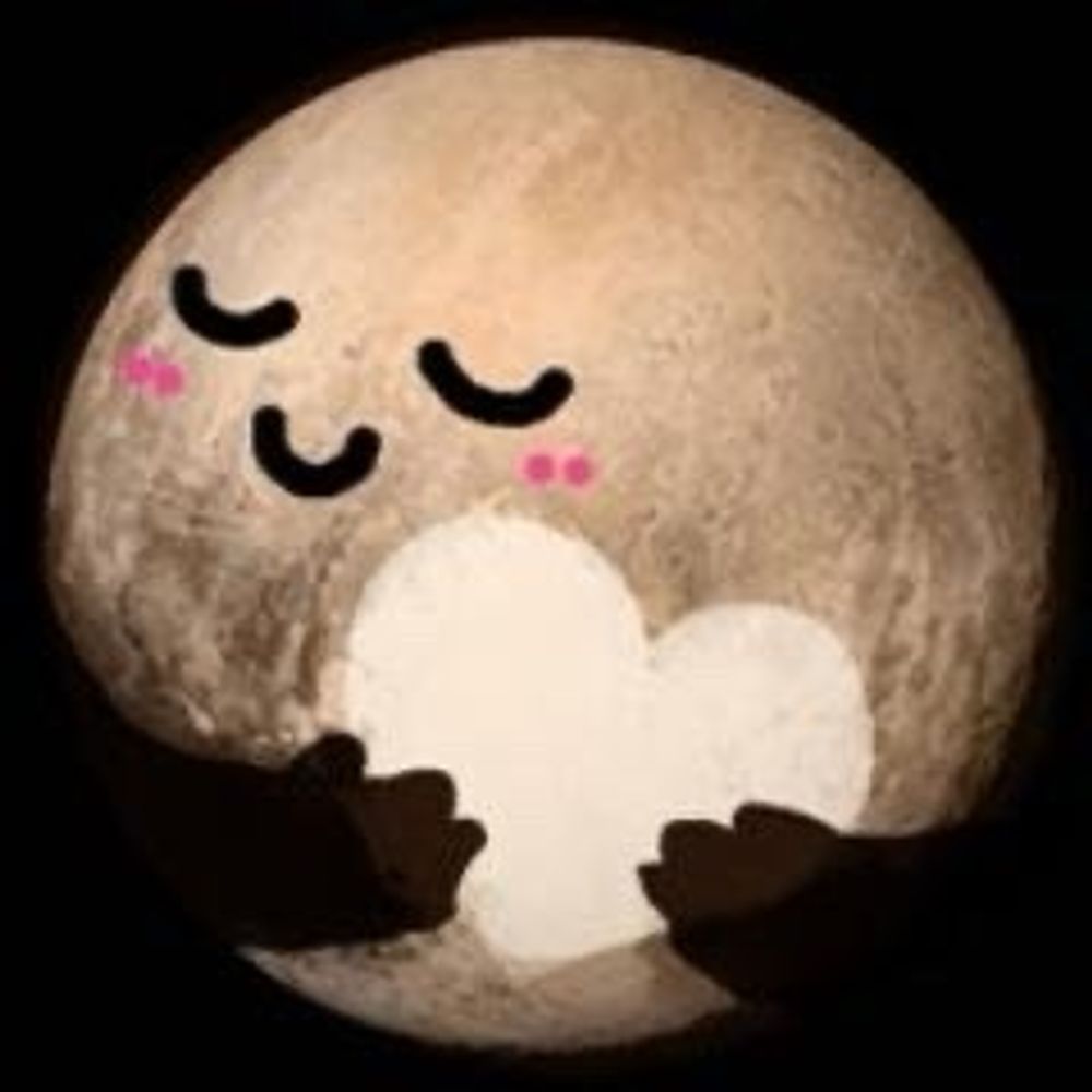 まりも