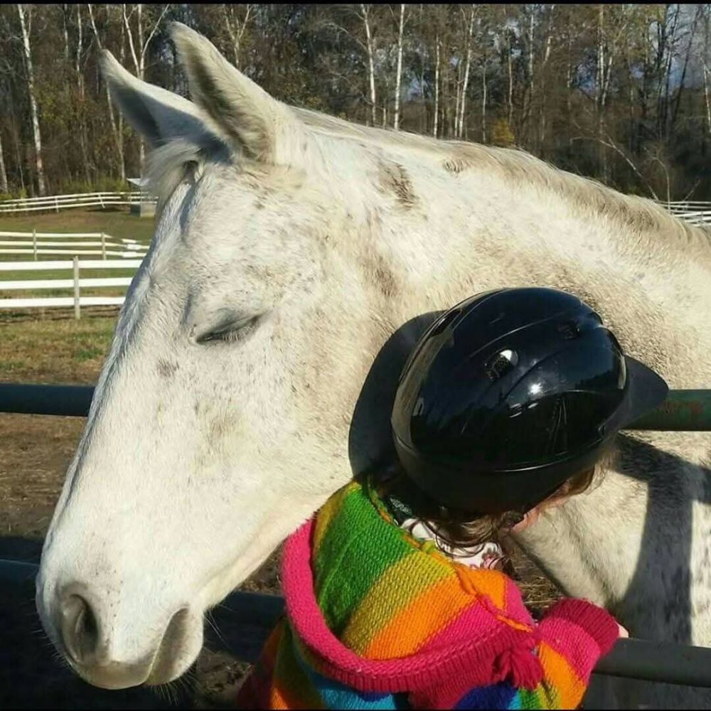 Adirondack Equine Assisted Psychotherapy, LCSW