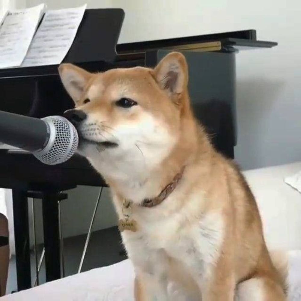 냉쭈