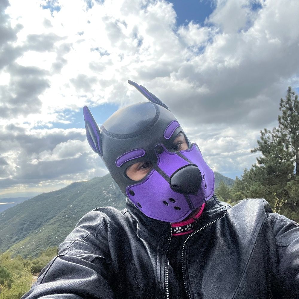 Eliaspup 
