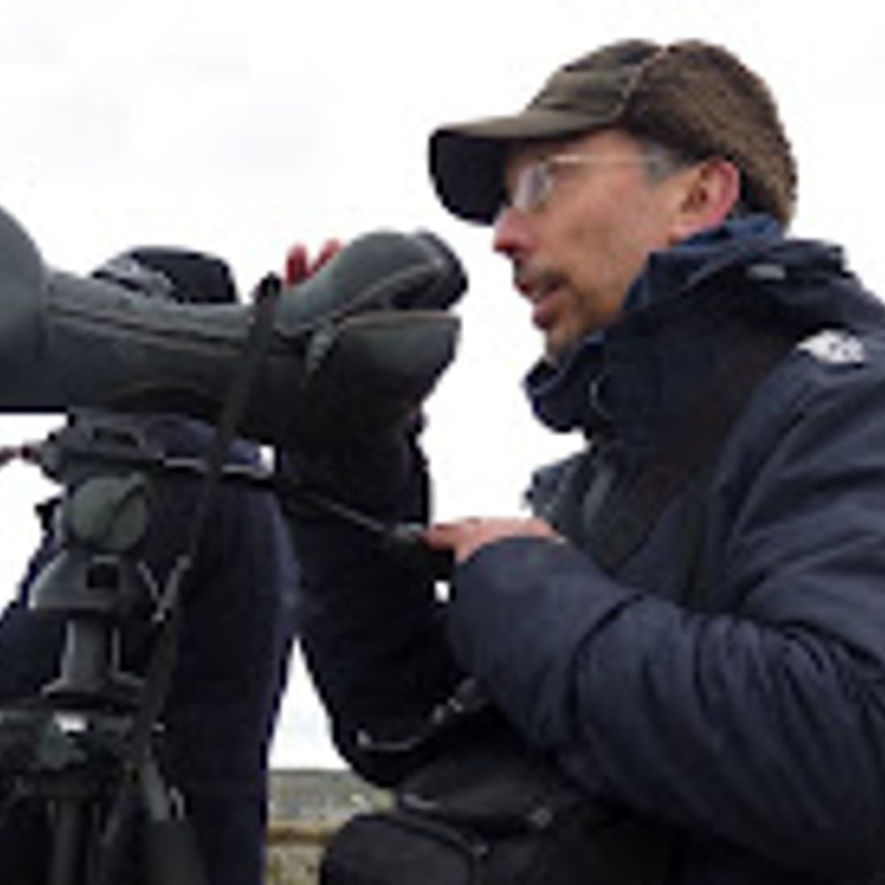 Port Meadow Birding