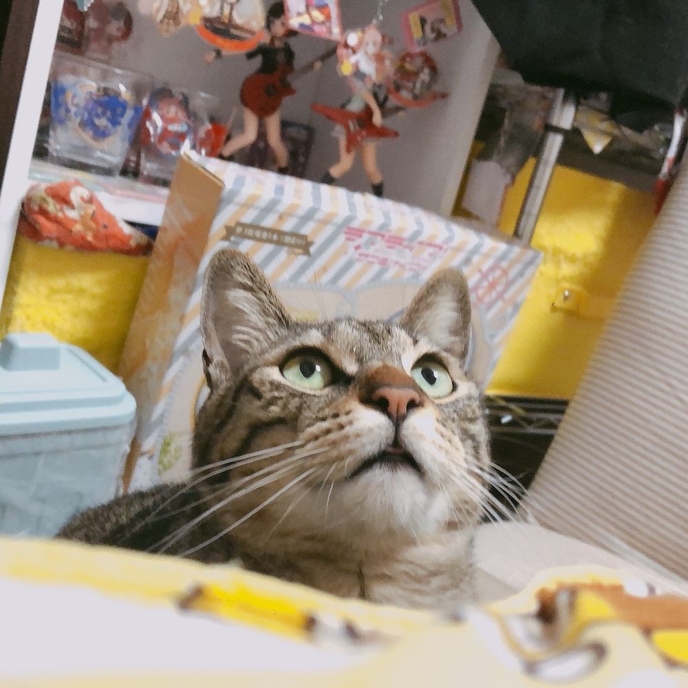 ねぎま