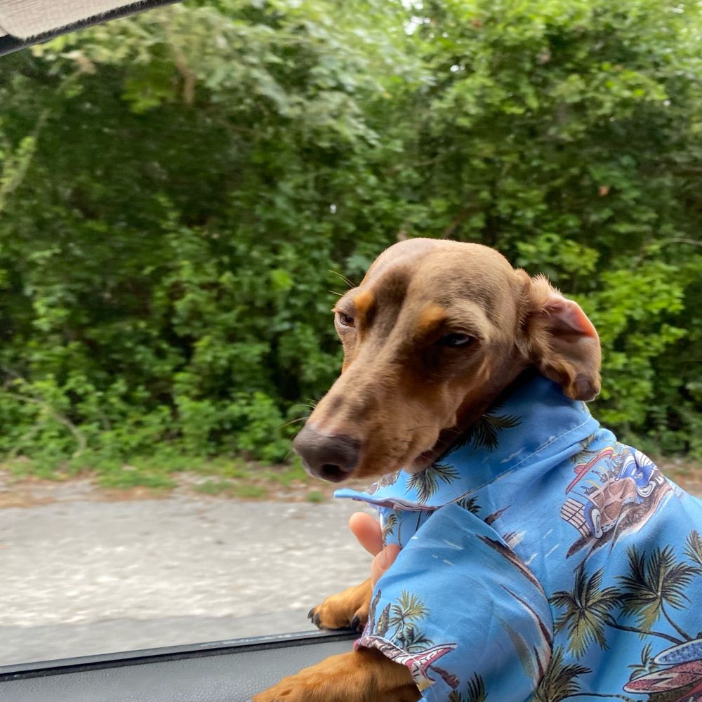 BSkyBob