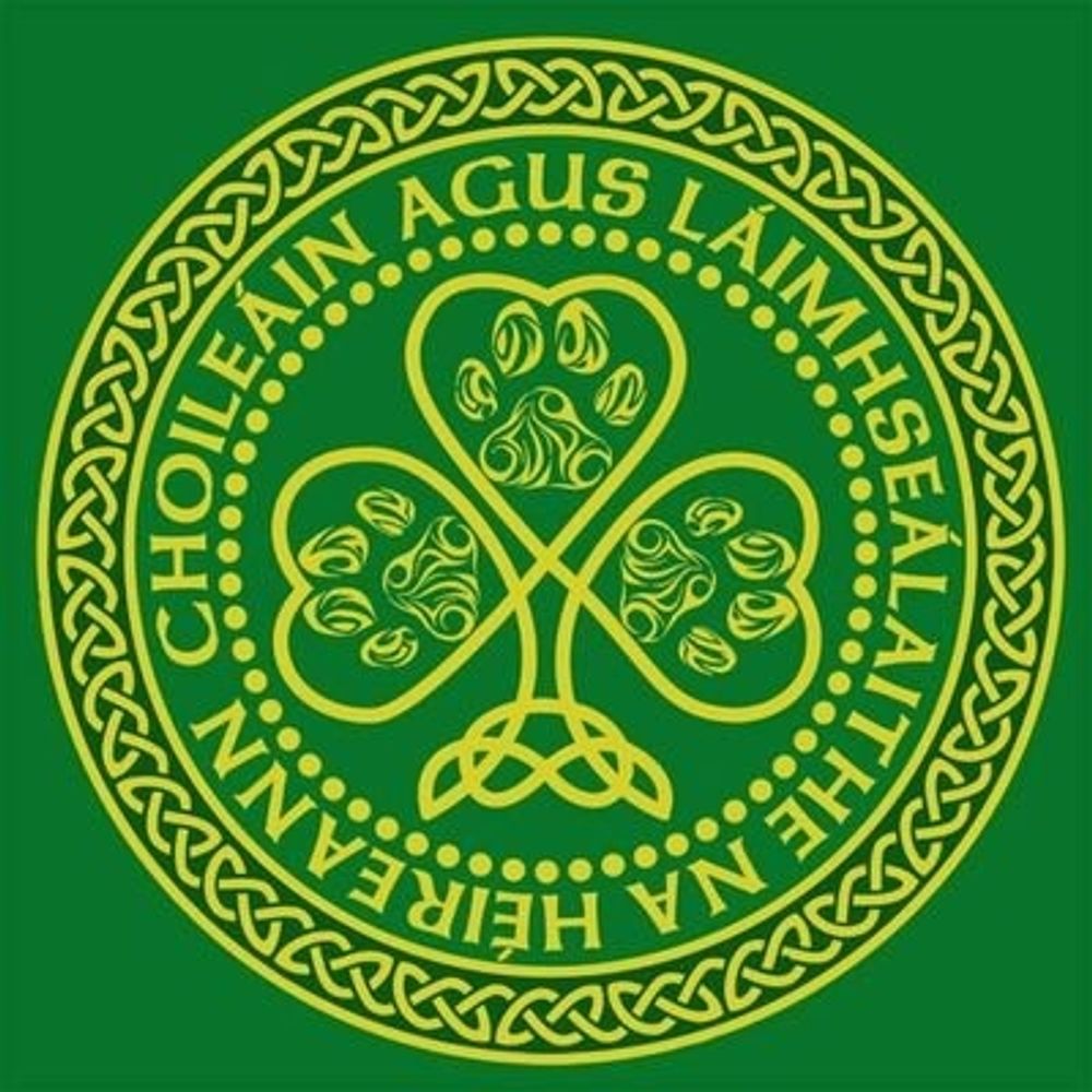Pups & Handlers Of Ireland