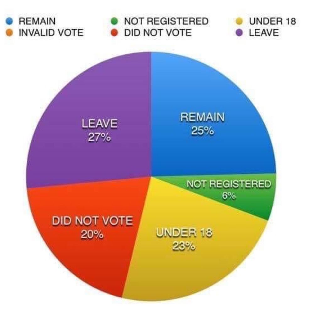 Baroness Allie hates Brexit's avatar