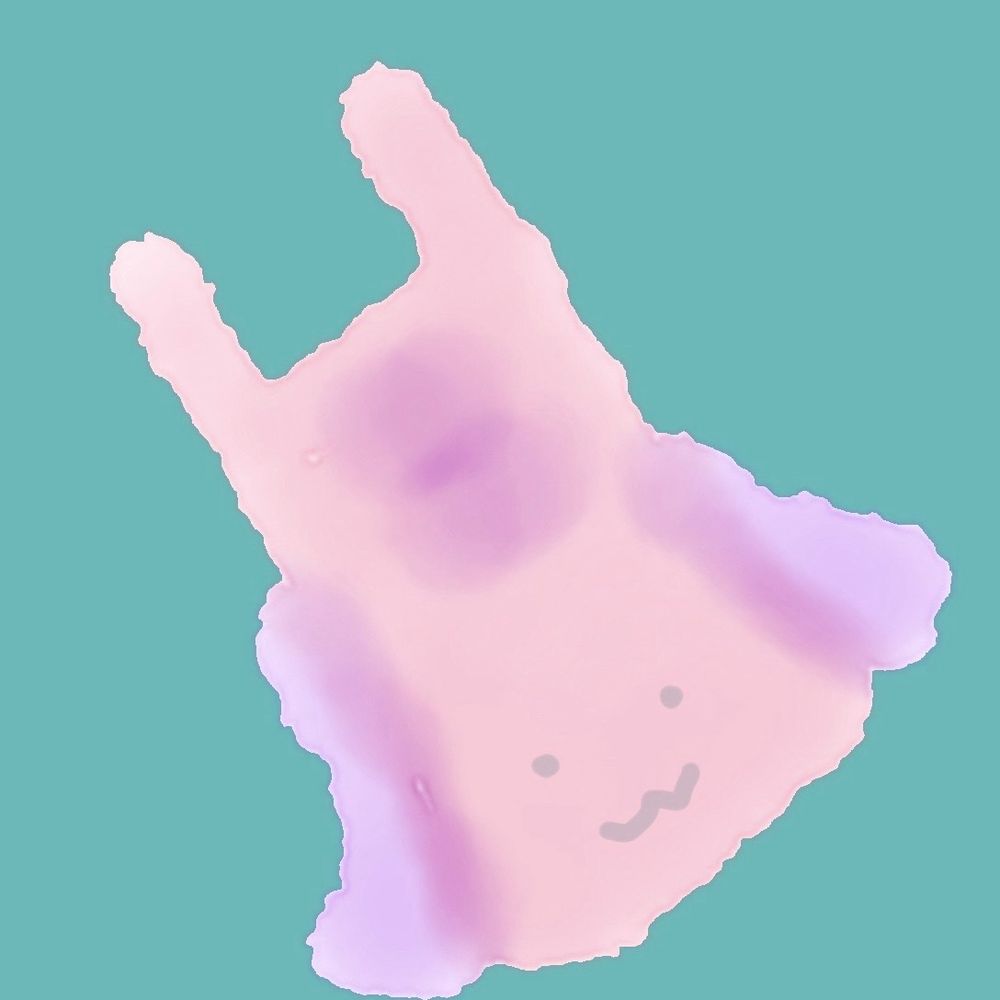 真鴨