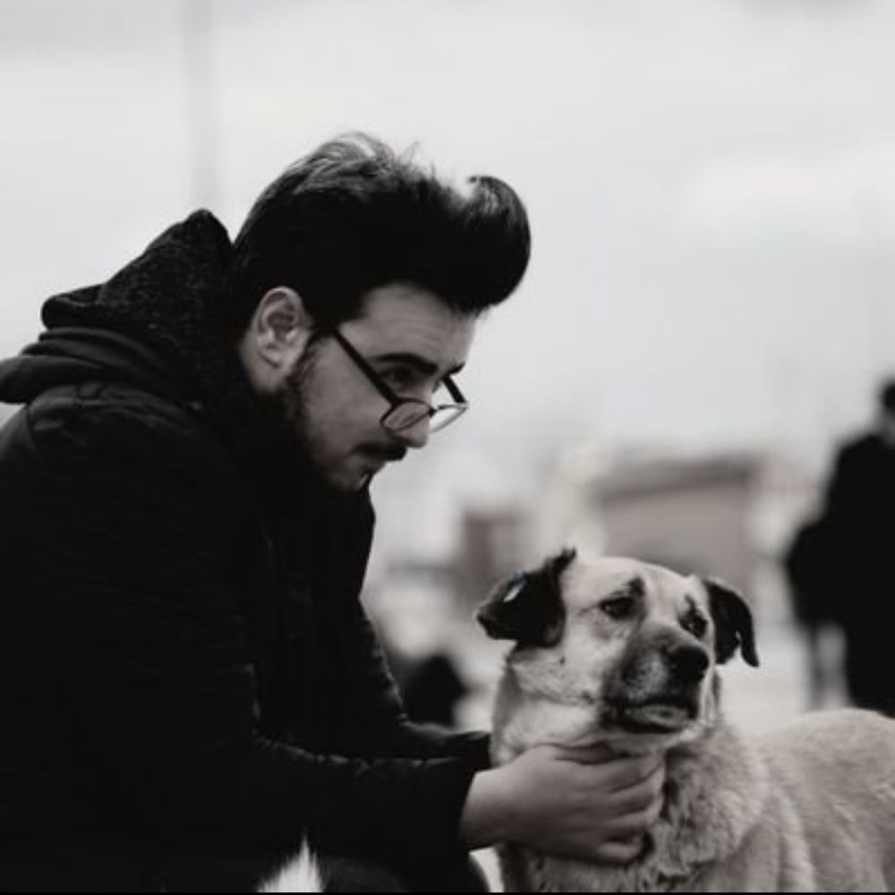Tarık