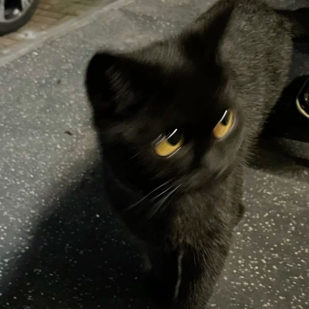 Nacho