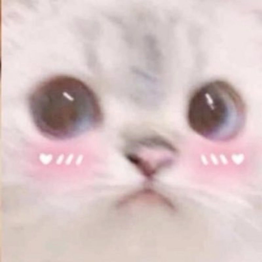 @nii.shy.cat